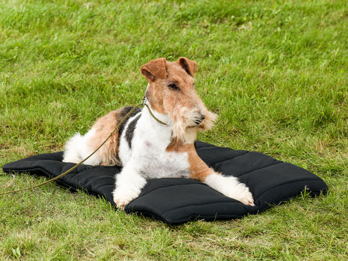 Dog Blanket - Image 3