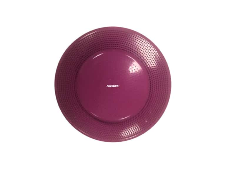 FitPAWS® Balance Disc - Gleichgewichtstraining Für Hund