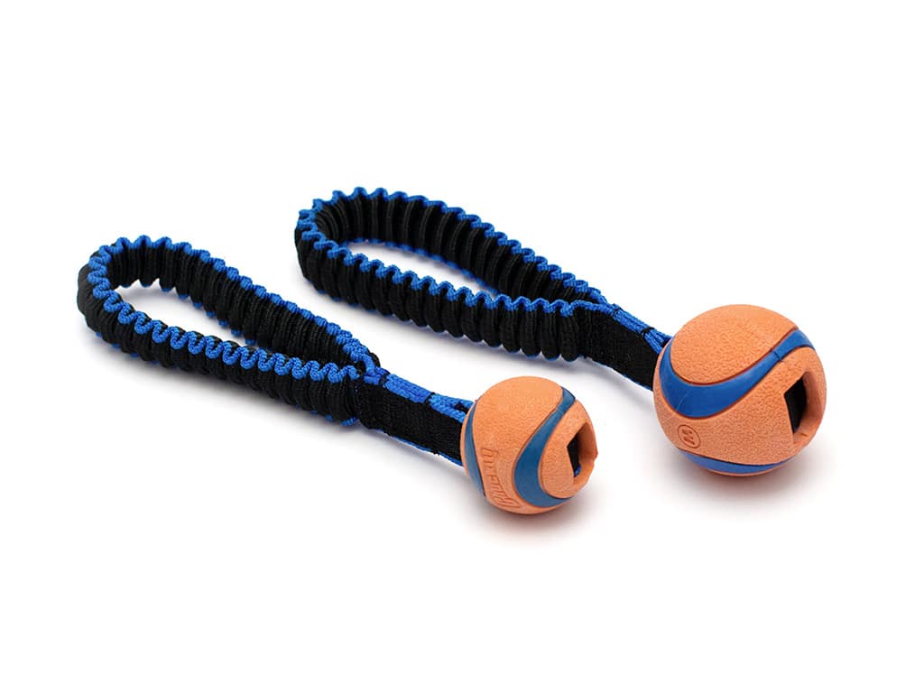 Tuggy Basic Chuckit Ultra Ball Medium Short Version | havohravo.com