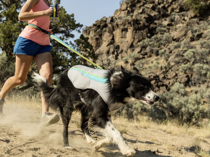 Swamp Cooler™ – Bild 7