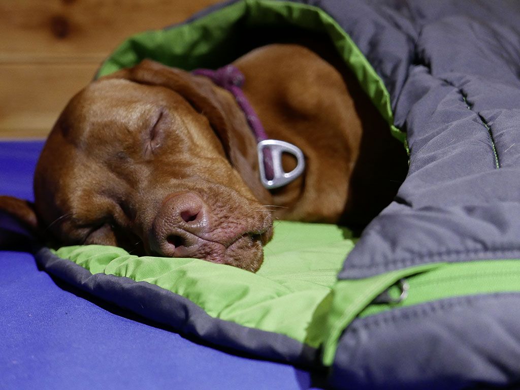 ruffwear sleeping bag