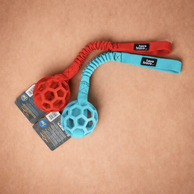 Tuggy Basic & Hol-EE-Roller – Bild 2