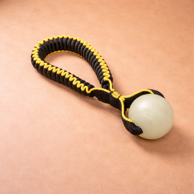 Tuggy Basic Chuckit Max Glow - Image 2