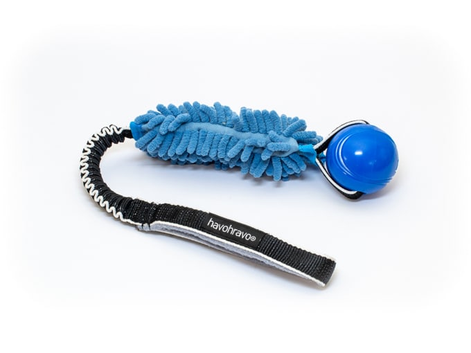 Tuggy Anemone & Chuckit Strato Ball - Image 3