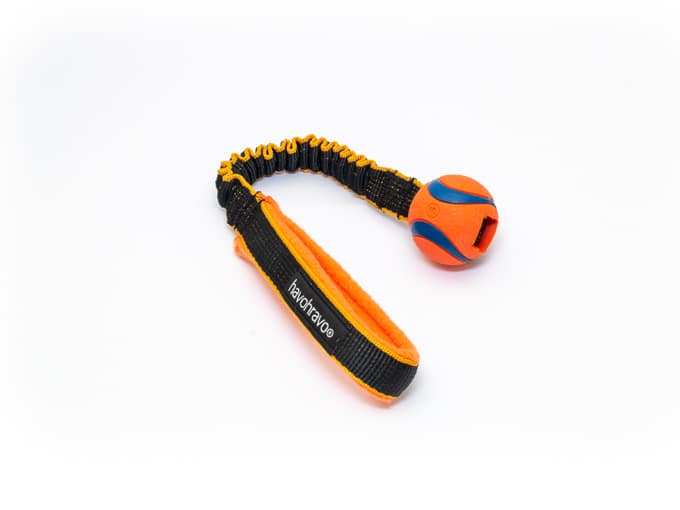 Tuggy Basic Chuckit Ultra Ball
