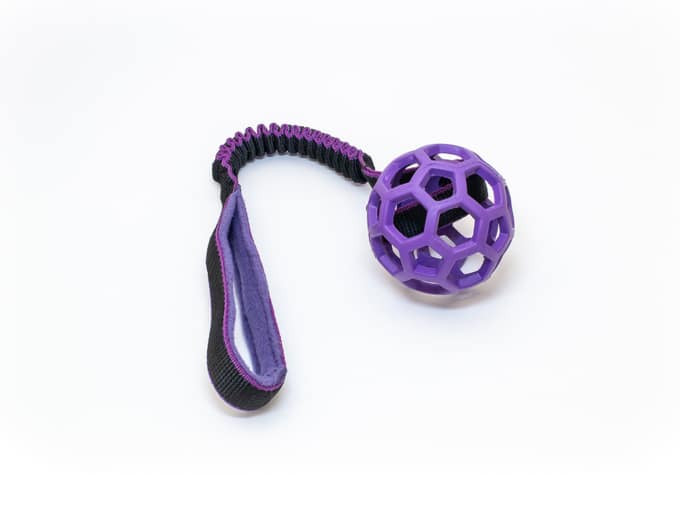 Tuggy Basic & Hol-EE-Roller – Bild 3