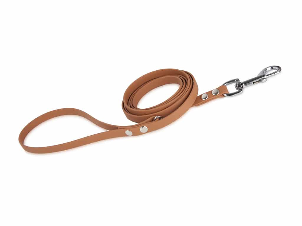 biothane dog leads