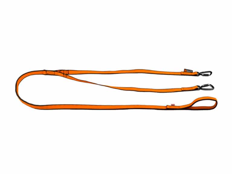 Bungee Leash for 2 dogs
