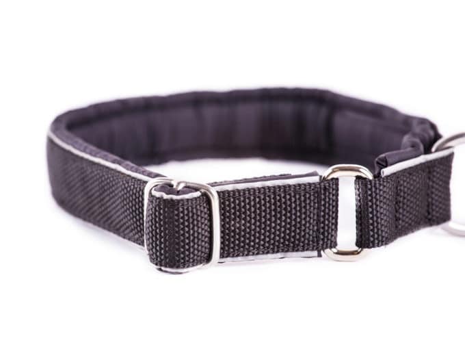 Halsband Pollar – Bild 2