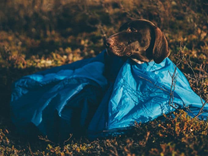 Ly Sleepingbag - Image 10