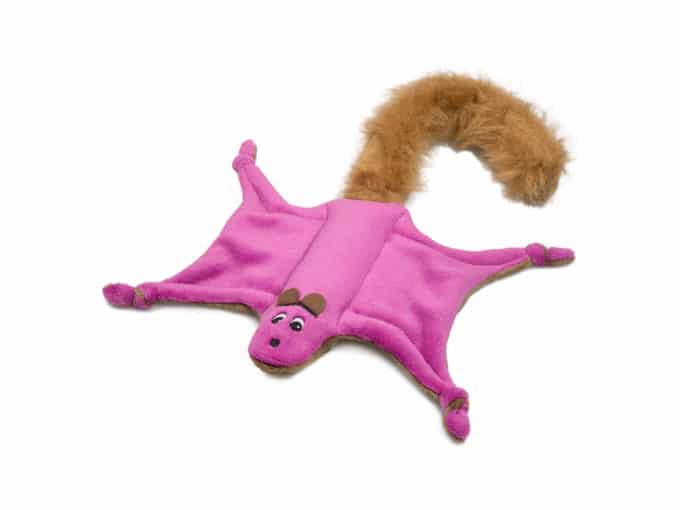 Flying Squirrel - Image 4