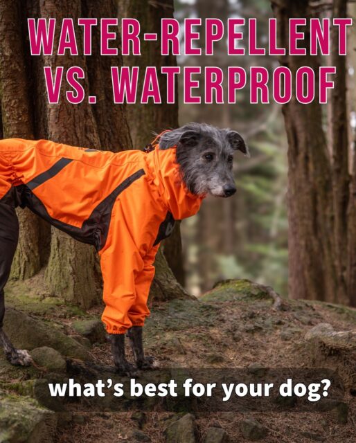 🌧️🐕 𝐖𝐚𝐭𝐞𝐫-𝐑𝐞𝐩𝐞𝐥𝐥𝐞𝐧𝐭 𝐯𝐬. 𝐖𝐚𝐭𝐞𝐫𝐩𝐫𝐨𝐨𝐟 – 𝐰𝐡𝐚𝐭’𝐬 𝐛𝐞𝐬𝐭 𝐟𝐨𝐫 𝐲𝐨𝐮𝐫 𝐝𝐨𝐠?
💦 𝟎–𝟑,𝟎𝟎𝟎 𝐦𝐦 = Water-Repellent
Good for drizzle, light rain & short walks.
🌧️ 𝟑,𝟎𝟎𝟎–𝟓,𝟎𝟎𝟎 𝐦𝐦 = Waterproof (Basic)
Handles moderate to heavy rain on longer walks.
⛈️ 𝟓,𝟎𝟎𝟎–𝟏𝟎,𝟎𝟎𝟎 𝐦𝐦 = Waterproof (Advanced)
For heavy rain & active dogs on hikes.
🌪️ 𝟏𝟎,𝟎𝟎𝟎+ 𝐦𝐦 = Extreme Waterproof
Maximum protection for working dogs & extreme weather.
💡 𝐓𝐢𝐩: City walks = water-repellent may be enough.
Adventures & outdoor work = waterproof is the safer choice.
Which one do you prefer? Let us know in the comments👇
.
#havohravo #raincoatfordogs #regenmantelfürhunde #dogcoat
