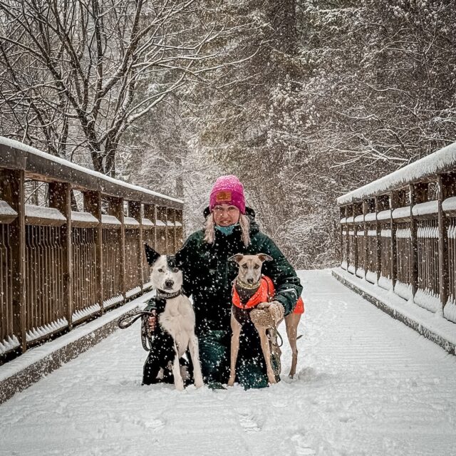 White Christmas it is!👏🏻🎄🎅🏼
How are you spending Christmas with your dog?
Long winter walks, couch cuddles, family chaos… or all of it together? 🎄✨

we’d love to see it:
👉 What gifts are waiting for your dogs under the Christmas tree?
Share them in your stories or tag us – fluffy surprises, toys, treats, everything is welcome 🧡🎁🐶
.
#havohravo #christmaswithdogs