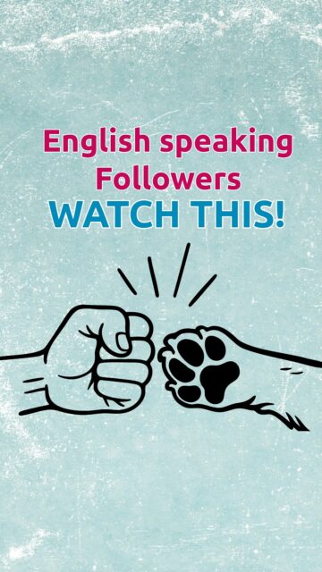 🇬🇧The time has come & from now on, our social media channels will be in German language only. 
BUT don‘t worry, you can use the feature „Translate with Meta AI“ even for our videos & you can still understand our content👏🏻