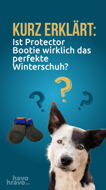 Nope, ist es nicht…warum? Erfährst du in unserem kurzen Erklärvideo🧦🐕