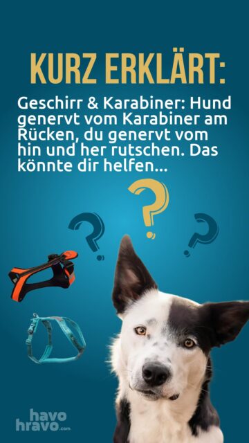 Das hilft dir, wenn der Karabiner der Leine den Hund beim Geschirr stört oder wenn du Geschirr unter dem Mantel anziehst👌🏻