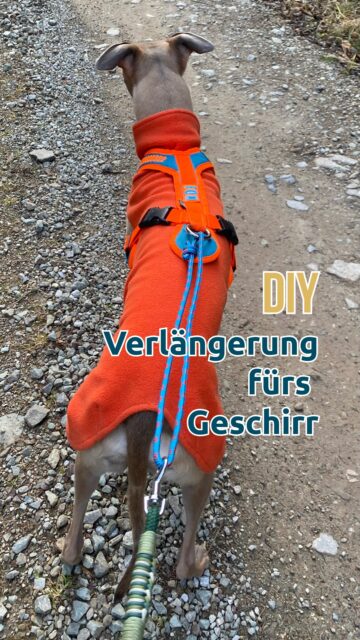 ⚠️Diese Verlängerung macht aus dem kurzem Geschirr 𝐊𝐄𝐈𝐍𝐄𝐍 Zuggeschirr!
Es dient nur dazu, damit der Karabiner nicht direkt am Rücken ankommt, sollte es den Hund stören. Die Länge kannst du wählen je nachdem wie du es brauchst. 𝐅𝐫𝐞𝐢𝐥𝐚𝐮𝐟 mit so eine Schnur am Geschirr ist 𝐧𝐢𝐜𝐡𝐭 𝐞𝐦𝐩𝐟𝐞𝐡𝐥𝐞𝐧𝐬𝐰𝐞𝐫𝐭!
