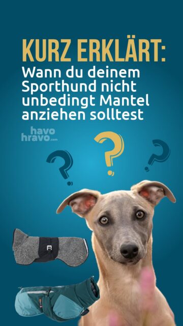 ❌Ein Zughund braucht keinen Mantel im Zug beim Skijöring, ein Agilityhund braucht keinen Mantel wenn er in unbeheizte Halle Parcour rennt❌
✅Aber für Sporthund ist oft sinnvoll bei Kälte einen Mantel fürs Warm Up & Cool Down zu verwenden✅