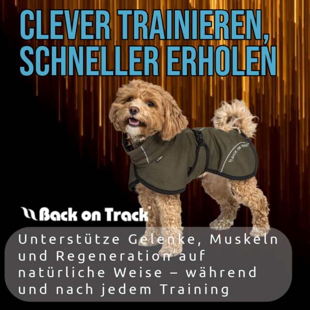 ✨ Wie 𝐅𝐞𝐫𝐧𝐢𝐧𝐟𝐫𝐚𝐫𝐨𝐭-𝐓𝐞𝐱𝐭𝐢𝐥𝐢𝐞𝐧 𝐯𝐨𝐧 𝐁𝐚𝐜𝐤 𝐨𝐧 𝐓𝐫𝐚𝐜𝐤 𝐟𝐮𝐧𝐤𝐭𝐢𝐨𝐧𝐢𝐞𝐫𝐞𝐧 ✨ Wusstest du, dass spezielle Stoffe wie Welltex®, Iontex® und Fusiontex® deine Körperwärme in tief wirkende Infrarotstrahlung (FIR) zurückreflektieren? Das geschieht durch in die Fasern eingebettete Keramik- und Mineralpartikel. 🌀

🔹 𝐖𝐞𝐥𝐥𝐭𝐞𝐱®: reflektiert Wärme gezielt zurück für bessere Durchblutung & Regeneration 🔹 𝐈𝐨𝐧𝐭𝐞𝐱®: kombiniert FIR mit Temperaturregulation und Atmungsaktivität – ideal für aktive Hunde 🔹 𝐅𝐮𝐬𝐢𝐨𝐧𝐭𝐞𝐱®: ergänzt das Ganze mit wasserdichtem & atmungsaktivem Schutz – perfekt für nasse Umgebungen

🐾 𝐕𝐨𝐫𝐭𝐞𝐢𝐥𝐞 𝐟𝐮̈𝐫 𝐇𝐮𝐧𝐝𝐞 & 𝐌𝐞𝐧𝐬𝐜𝐡𝐞𝐧: • Linderung von Verspannungen und Schmerzen • Förderung der Mikrozirkulation • Unterstützung der Regeneration • Funktioniert passiv – ganz ohne Strom oder Chemie

📌 𝐓𝐢𝐩𝐩 𝐳𝐮𝐫 𝐍𝐮𝐭𝐳𝐮𝐧𝐠: Starte mit 1–3 Tagen à max. 4 Stunden pro Tag. Dann langsam auf ≥ 8 Stunden steigern. Der Effekt entfaltet sich besonders bei Bewegung, aber auch in Ruhephasen.
.
👉 Schau dir jetzt alle Produkte von Back on Track für Mensch und Hund in unserem Shop an und entdecke die Kraft der Ferninfrarot-Technologie! 🐶💪
