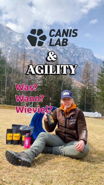 Was? Wann? Wieviel? So kombinierst du die @canis_lab Produkte fürs Agility!💪🏼🐕🏃🏼‍♀️
.
#havohravo #sporthund #shopfordogathletes #canislab #hundesport
