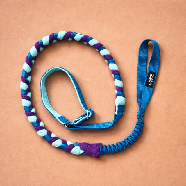 𝐑𝐞𝐚𝐝𝐲 𝐟𝐮̈𝐫 𝐓𝐫𝐚𝐢𝐧𝐢𝐧𝐠 𝐨𝐡𝐧𝐞 𝐊𝐨𝐦𝐩𝐫𝐨𝐦𝐢𝐬𝐬𝐞? 🐾🔥

Unsere Agility Leinen sind jetzt endlich online im Shop verfügbar – gemacht für alle, die mehr wollen als „nur eine Leine“.

✔️ Leicht & funktional – kein unnötiges Gewicht im Training
✔️ Sicherer Griff auch wenns schnell gehen soll
✔️ Perfekt für Agility, Warm-up & Alltag
✔️ Robust & langlebig – hält, wenn’s drauf ankommt

Egal ob Startlinie, Parcours oder Pause dazwischen – diese Leine macht alles mit. 💪

👉 Hol dir jetzt deine Agility Leine und upgrade dein Training!
🔗 Direktlink findest du in den Stories

Speicher dir den Post für später & schreib uns, wenn du Hilfe bei der Auswahl brauchst 🐶💬

#havohravo #agilitydog #hundesport #agilitytraining #doggear trainingsession sporthund agilitylife dogsofinstagram