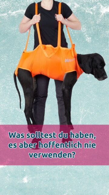 Ein falscher Schritt, ein Moment Unachtsamkeit – und aus deinem Abenteuer wird plötzlich eine Rettungsaktion.

Mit dem Rescue Sling bist du vorbereitet:
leicht, kompakt und in Sekunden einsatzbereit, um deinen Hund sicher nach Hause zu tragen. 🐾

✔️ gleichmäßige Gewichtsverteilung für maximalen Komfort
✔️ tragbar vorne, seitlich oder am Rücken
✔️ ultraleicht & immer im Rucksack dabei
✔️ entwickelt mit Rettungshunde-Profis 

👉 Ein Must-have für jede Outdoor Saison!

🔗 Hier anschauen & vorbereitet sein:
https://www.havohravo.com/de/produkt/dog-rescue-sling/