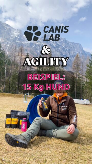 Beispiel mit 15 kg Hund👉Wässern & Supplement Tipps, damit dein Hund optimal für die Leistung in Agility / Obedience vorbereitet ist💪🏼👏🏻

Havohravo | Sporthund | Hundeagility | Agilityhund | Canislab | dogsupplememts