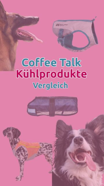 Welches Kühlprodukt ist das richtige für deinen Hund?
Hier siehst du Non-Stop Dogwear, Ruffwear & Cool on Track im direkten Vergleich💧
