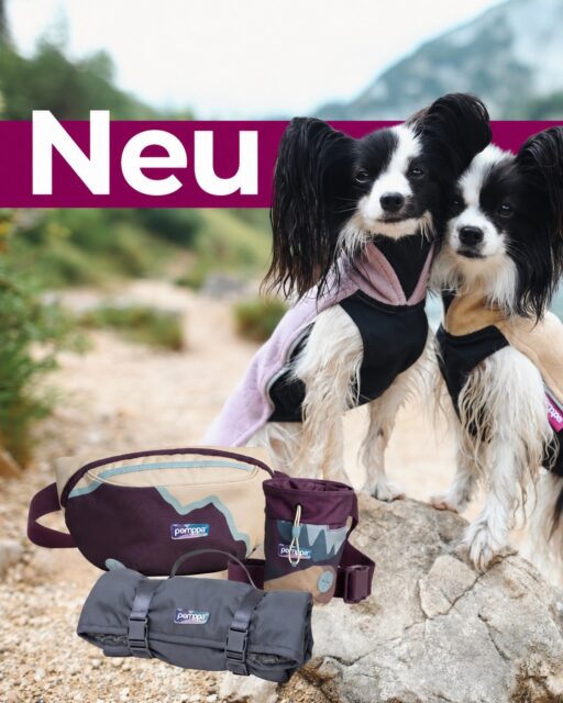 🔔 𝗗𝗜𝗘 𝗦𝗖𝗛𝗨𝗟𝗘 𝗚𝗘𝗛𝗧 𝗟𝗢𝗦 🔔

Lerne deine neuen Lieblings-Freunde kennen:

Pomppa Leckerlibeutel
Ein ergonomischer Leckerlibeutel für schnelles und einfaches Belohnen.

Pomppa Bauchtasche
Kompakt und trotzdem geräumig – für alles, was unterwegs mit muss.

Pomppa Ruhematte
Produktionsüberschüsse bekommen eine neue Aufgabe!

🤓☝️ Und weil jedes neue Schuljahr einen frischen Look verdient … gibt es auch die JumppaPomppa in neuen Farben!

Egal, ob du zum Training aufbrichst, neue Wege erkundest oder einfach eure gemeinsamen Alltagsabenteuer genießt – für euren nächsten Ausflug bist du bestens ausgestattet.

🔔 Der Unterricht beginnt jetzt. Entdecke die Neuheiten von @pomppadogwear ab sofort in unserem Shop!

#pomppa #seasonlaunch #hundetraining #leckerlibeutel #gürteltasche