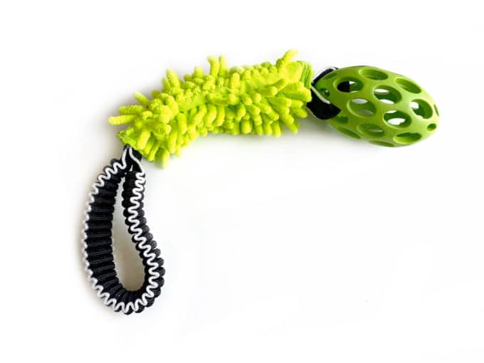 Tuggy Anemone & Hol-EE-Football - Image 5