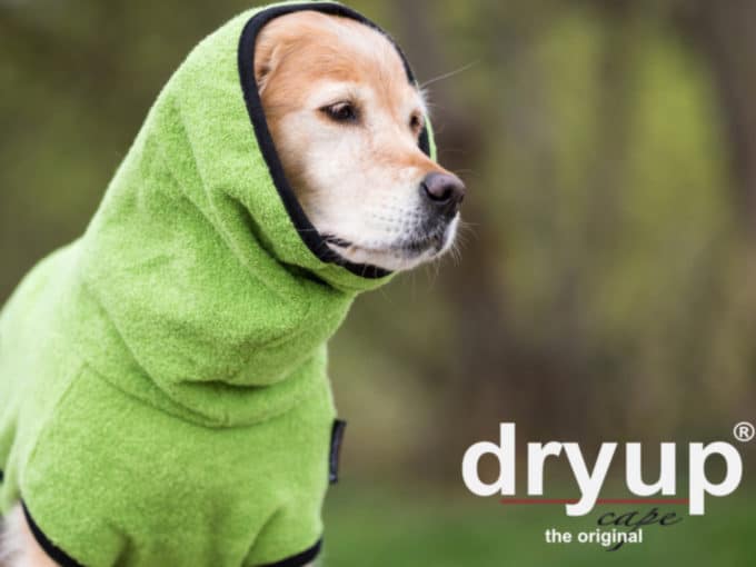 DryUp Cape - Hundebademantel Kiwi