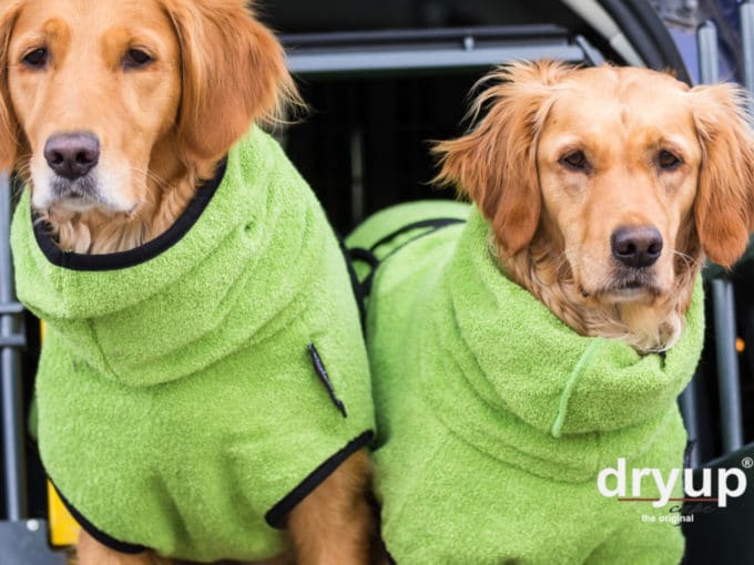 DryUp Cape - Hundebademantel Kiwi – Bild 2