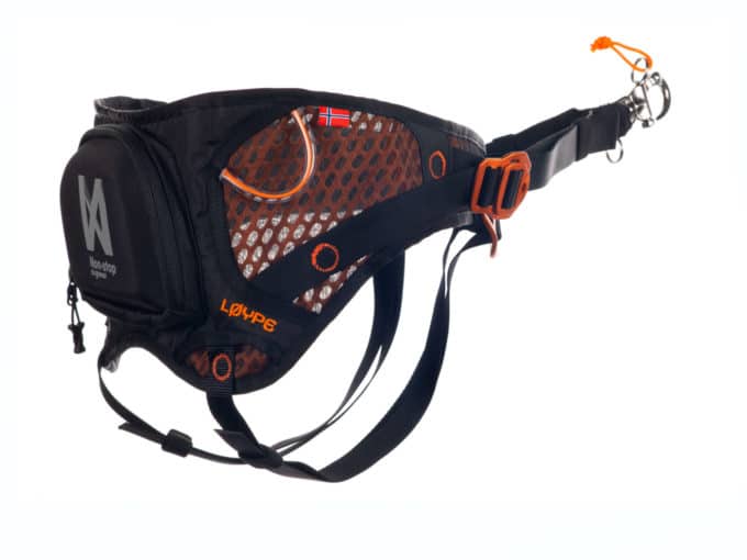 LØype Belt - Image 3