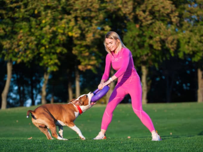 Dog Puller Maxi - Image 3