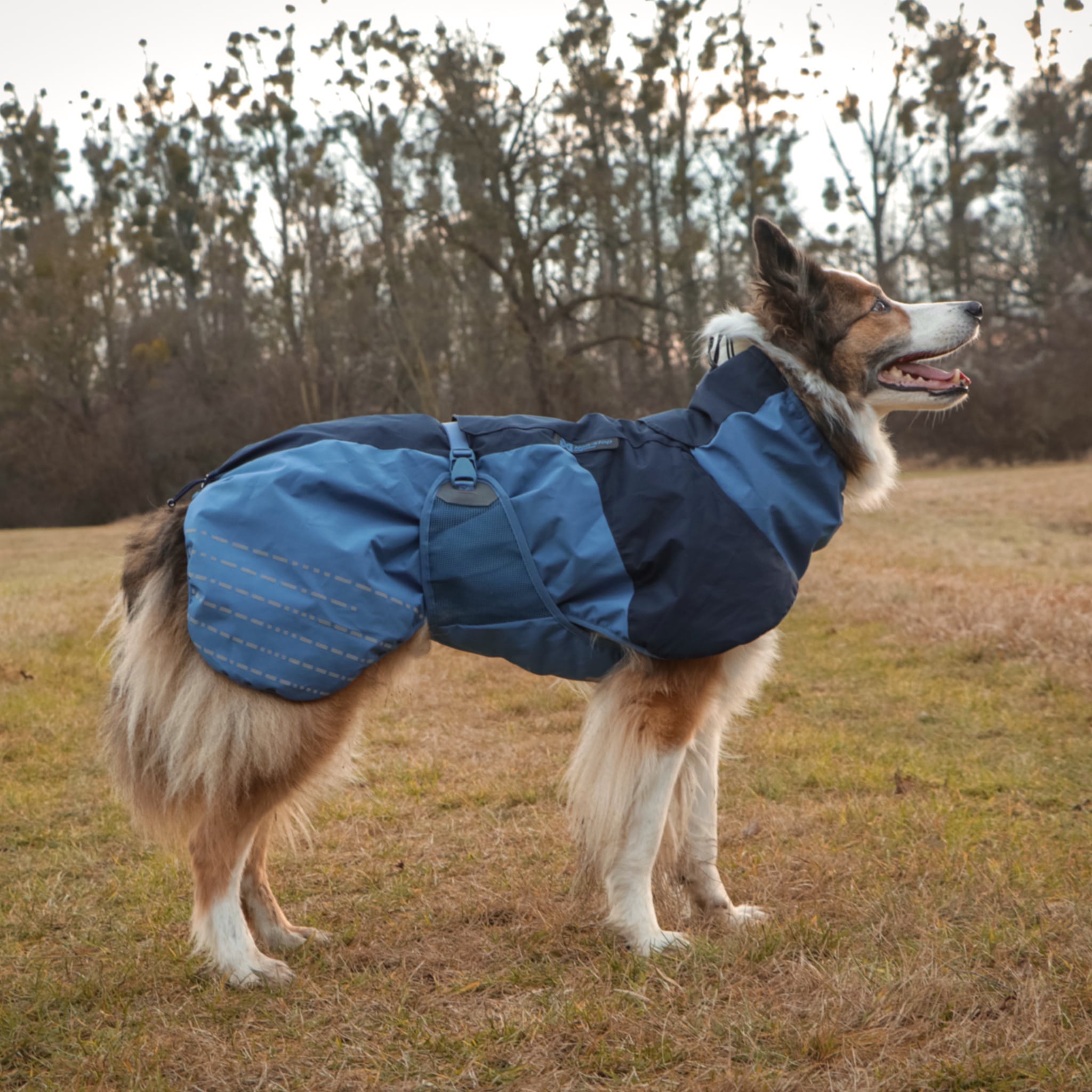 nonstop dogwear nonstop dogwear