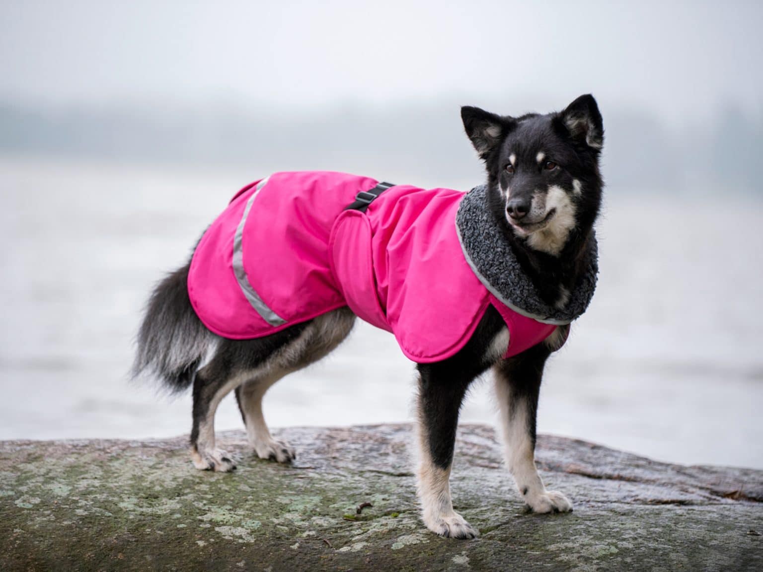 Winter Coats from Pomppa Shopping Guide