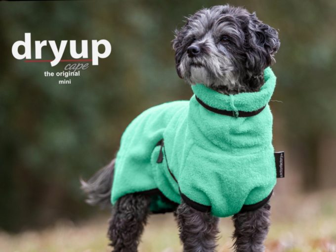 DryUp Cape - Hundebademantel Mint – Bild 2