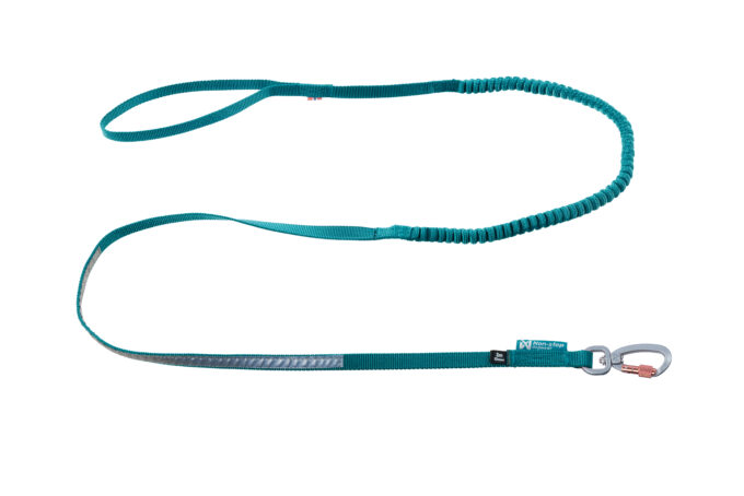 Touring Bungee Leash Teal - Image 2