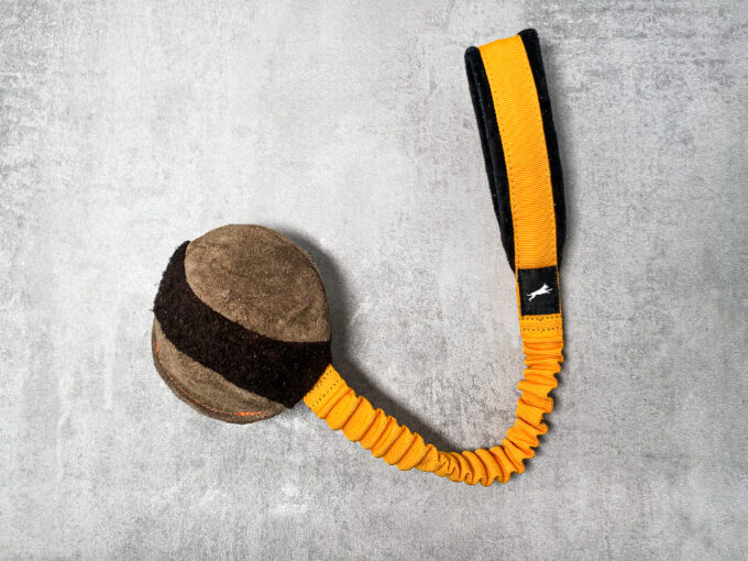 BungeeChewie Ball – Bild 2