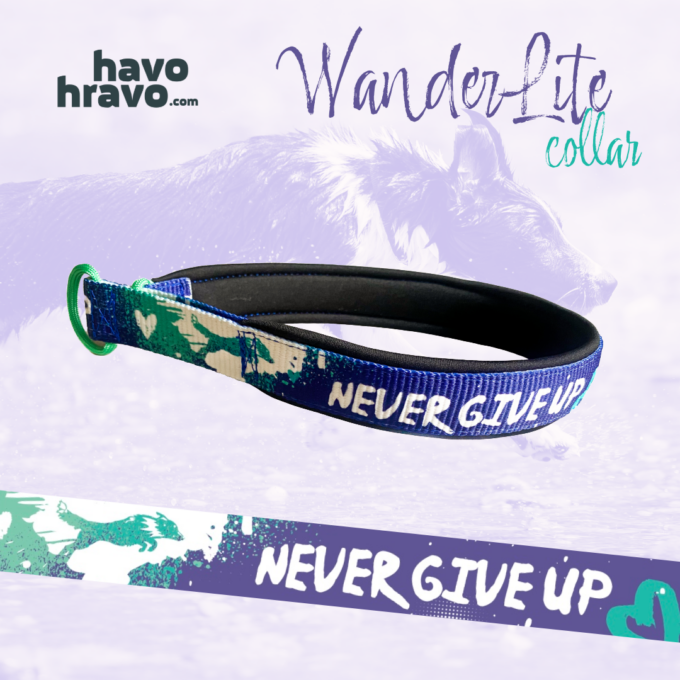 WanderLite Halsband Never Give Up Lila