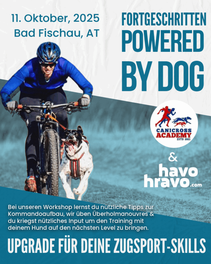Powered by Dog: Upgrade für deine Zugsport-Skills