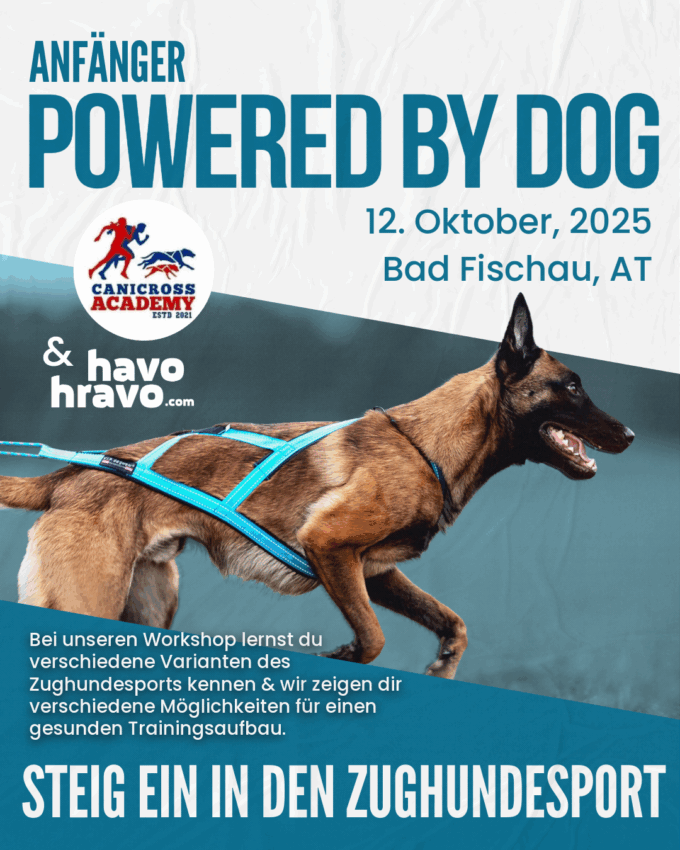 Powered by Dog: Steig ein in den Zughundesport