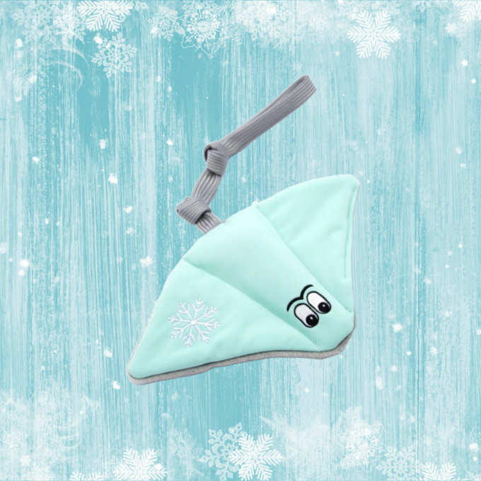 Frosty Stingray
