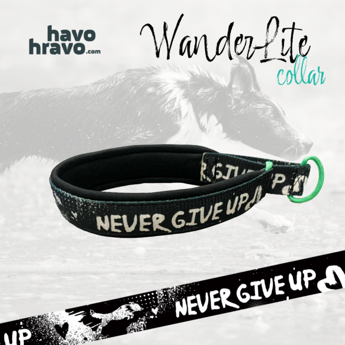 WanderLite Halsband Never Give Up Schwarz/weiss