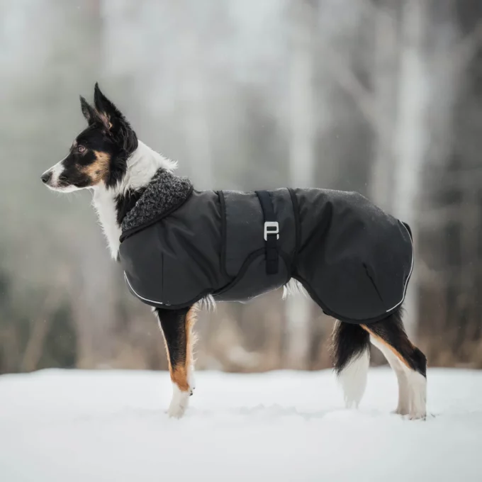 Wool Jacket HYBRIDO ARCTIC - Image 2