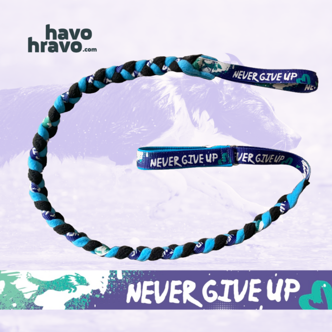 Agility Leash 2 in 1 Never Give Up Purple