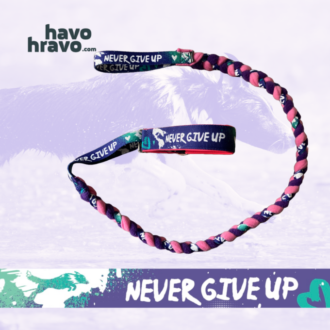 Agility Leash 2 in 1 Never Give Up Purple - Image 3