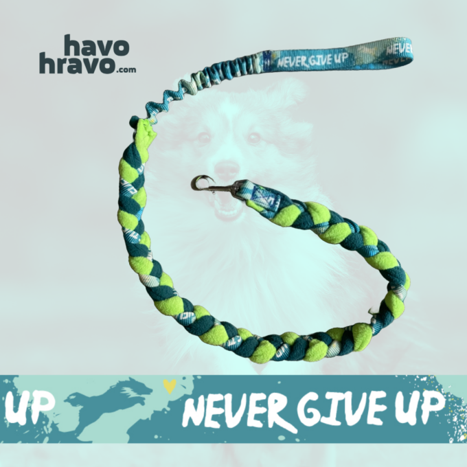 Braided Tuggy Leash Never Give Up Mint