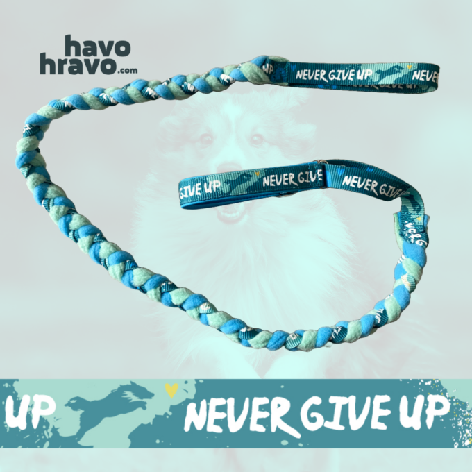 Agilityleine 2 in 1 Never Give Up Mint