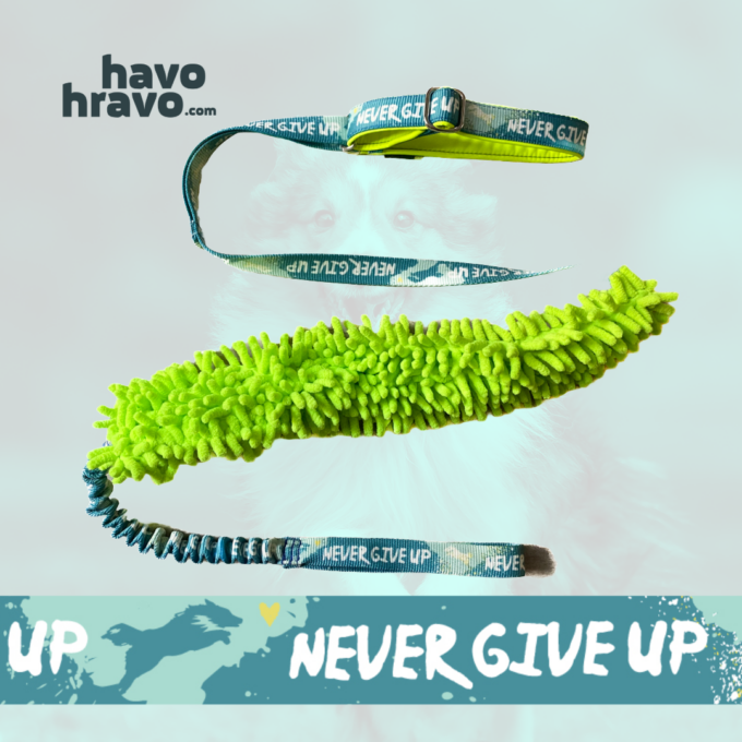 Agilityleine 2 in 1 mit Spieli & Rückdämpfer Never Give Up Mint – Bild 2